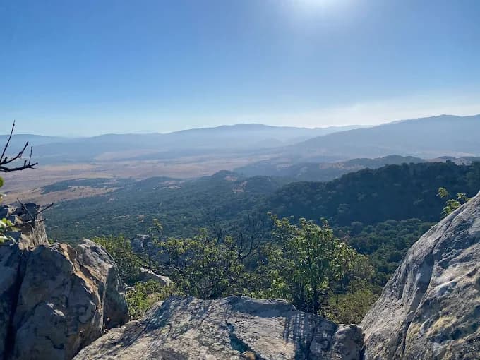 Paisaje de la dehesa andaluza